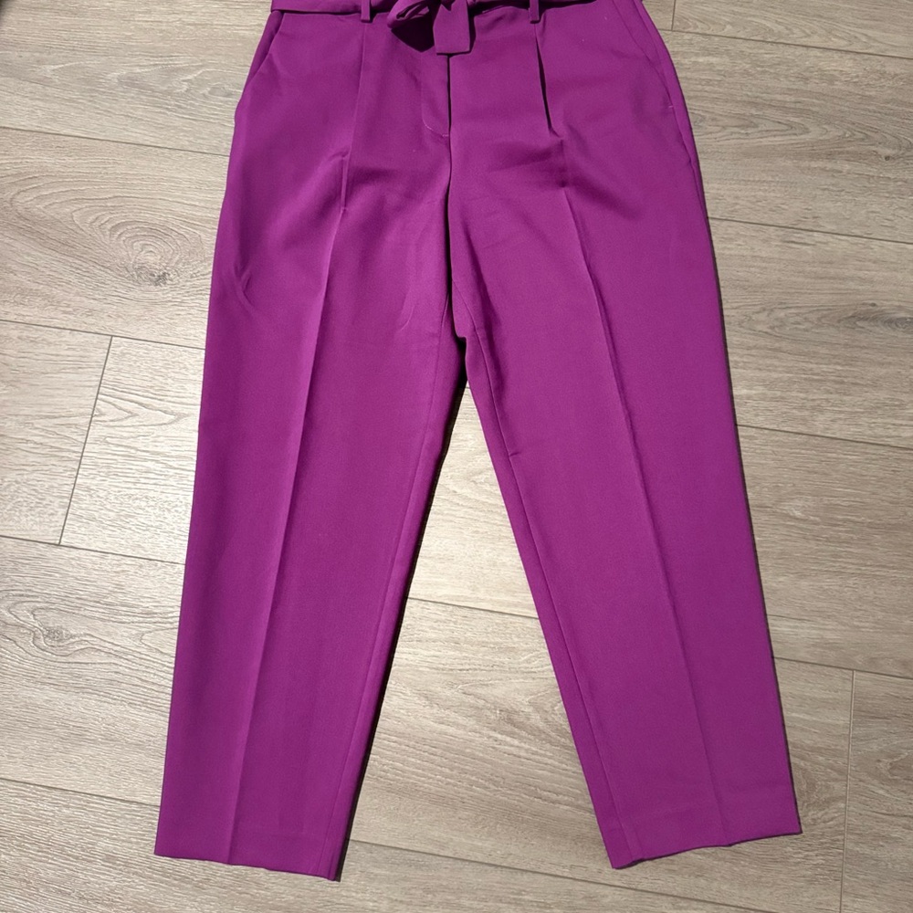 Ann Taylor Purple Ankle Cropped Pants
